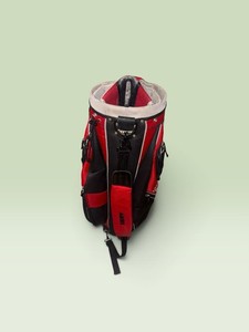 Budweiser Golf Bag | eBay