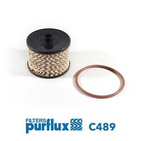 Purflux Kraftstofffilter FüR Peugeot Ford CitroëN Fiat U.A. 04-16 C489