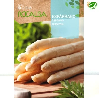 ROCALBA Esparrago Argenteuil - Blanco Grueso ( 6 gr / 300 semillas ) seeds - Espárrago