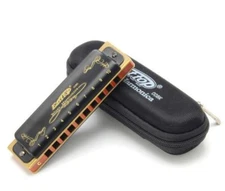 PADDY RICHTER TUNED Easttop Blues Harmonica T008K Phos Bronze Reeds - US DEALER