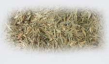 Lemongrass Leaves Dried Herb 4oz Cooking Medicine Skin Aromatherapy Cosmetics