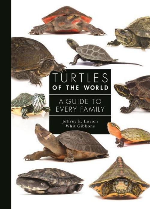 Thumbnail - Turtles Of The World Jeffrey E. Lovich 9780691223223