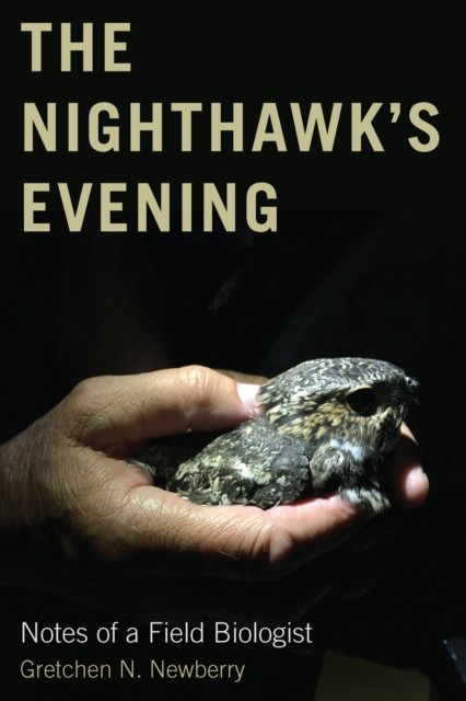 The Nighthawk's Evening by Gretchen N. Newberry (Paperback Book)