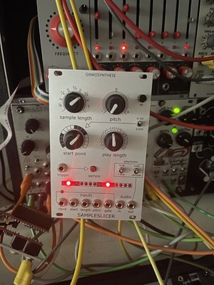 Eurorack Sampler 12 Bit Sampleslicer  by GINKOSYNTHESE