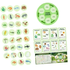Life Cycle Kit Party Favors Fun Learning Food Chain for Preschool Classroom