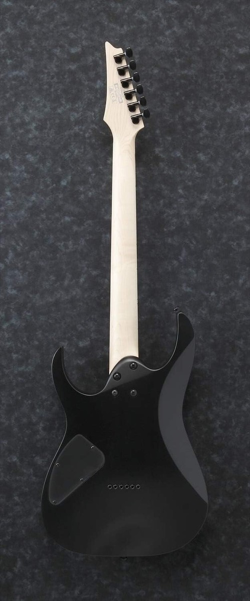 Ibanez Electric Guitar RG421EX-BKF Black Flat Quantum