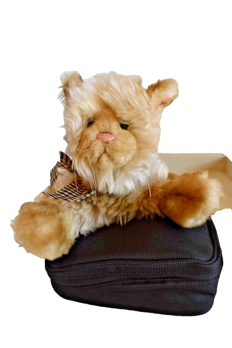 Cat gund top