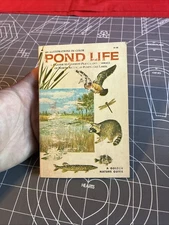 Vintage 1967 Pond Life North American Ponds And Lake Golden Nature Guide 