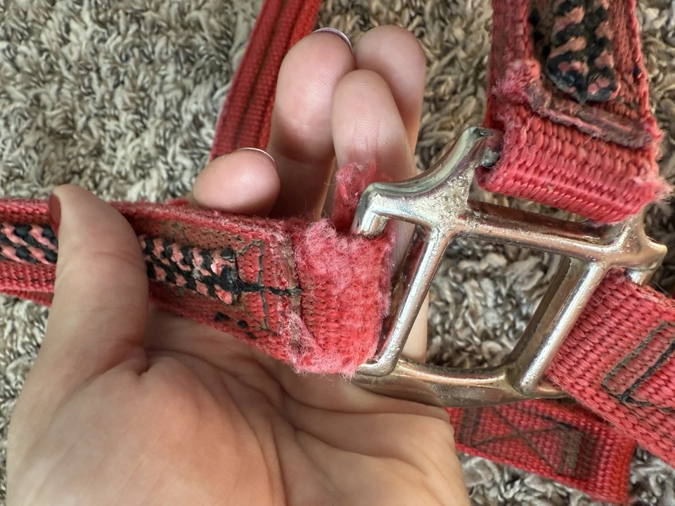 Caballo halter de nailon negro y rojo tamaño completo Foto 4 de 4