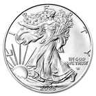 2025 American Silver Eagle 1 Oz 999 Fine $1 Coin BU Uncirculated