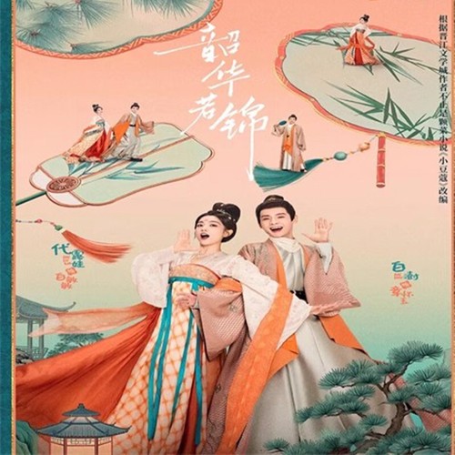 Chinese Drama shao hua ruo jin Chinese Sub 韶华若锦 Boxed 2025 - Picture 3 of 3
