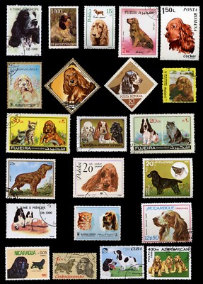 COCKER SPANIEL alle Farben INTERNATIONALE HUNDE BRIEFMARKEN x 22 alle verschieden