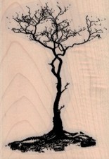 Weathered Tree 3 x 4 1/4" Rubber Stamp, Tree Stamp, Woods Stamp