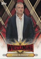2019 WWE Wrestlemania Shane McMahon #WM-16