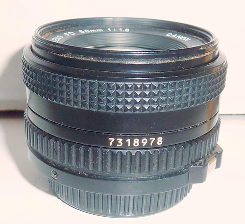Canon 50mm FD 1:1.8 lens to Sony a9 II a7R IV III a6100 a6600 a6400 查看照片 - 第 9 张/共 10 张