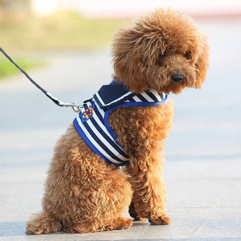 Small Dog Pet Puppy Navy style Teddy Poodle straps Traction rope dog chain - Image 4 of 4