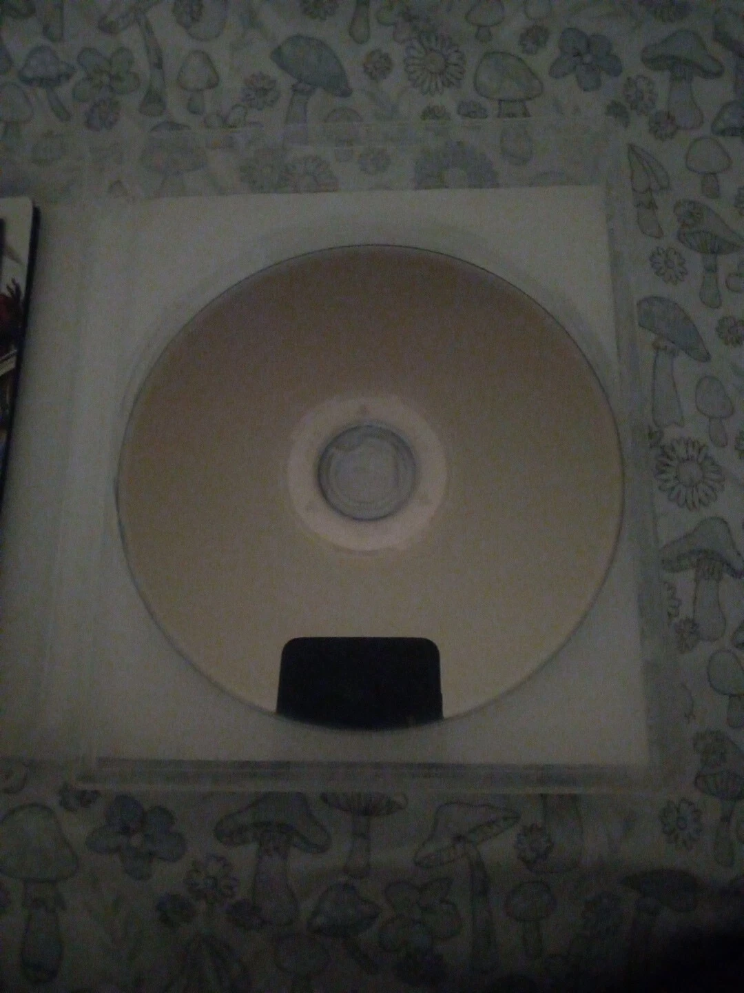 Picture 5 of 6
