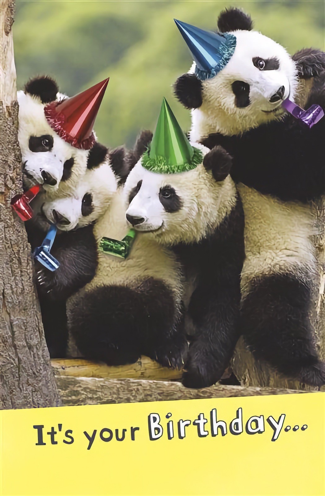 Funny Birthday Card It's Your Birthday Let The Pandamonium Begin Joke Humour