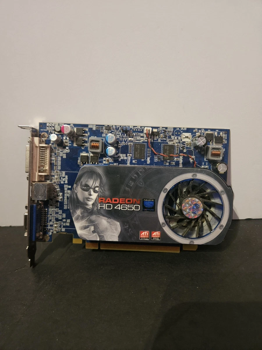グラフィックボード・グラボ・ビデオカード ATI Radeon series HD 4650 AGP 1GB GOOR2 SAPPHIRE、Radeon HD 4650搭載AGPビデオカード - 価格.com