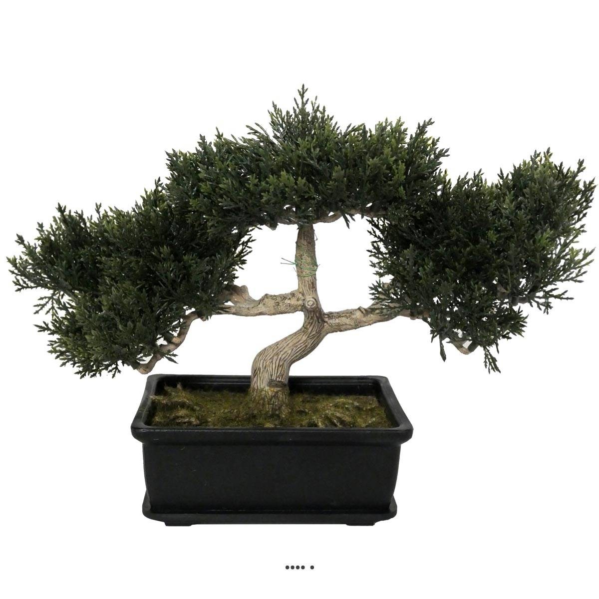Bonsai artificiel cèdre H23cm de 113 feuilles pour décoration intérieure