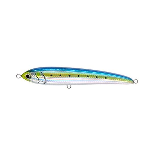 Yamashita (YAMASHITA) Lure Rapido F190 B01H Sardine Official Collectible