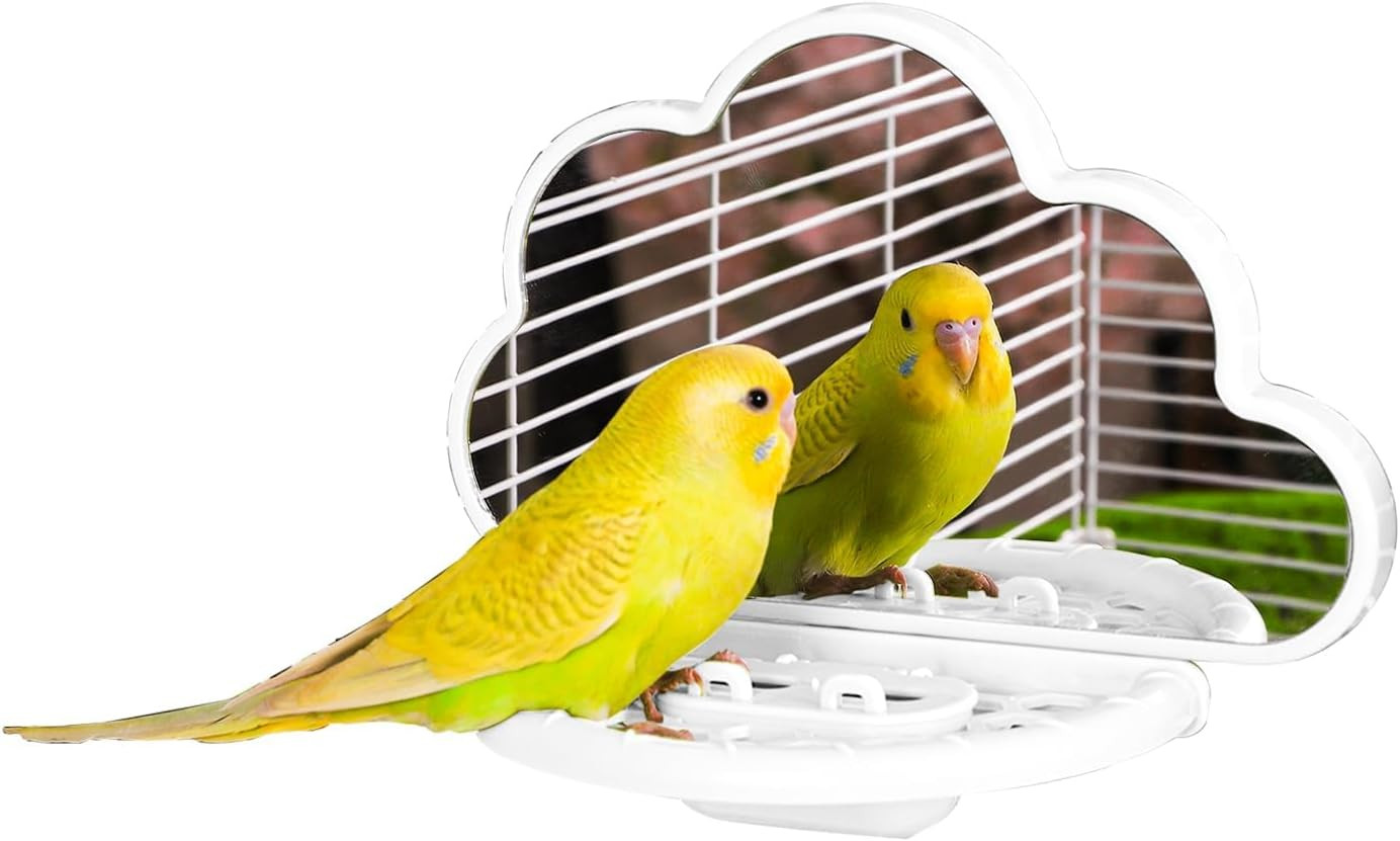 Bird Mirror with Perch Stand, Bird Toys for Budgie Parakeet Cockatiel Conure Lov
