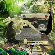 Ausgrabungsset Dino Fossil Dinosaurier Spielzeug Kinder Skelett Ausgraben