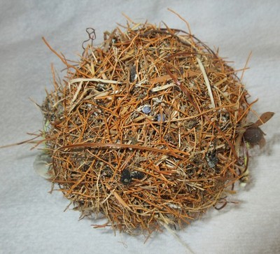 4-inch-diameter BEACH TANGLEBALL * Natural Phenomenon of tiny sticks, feathers.
