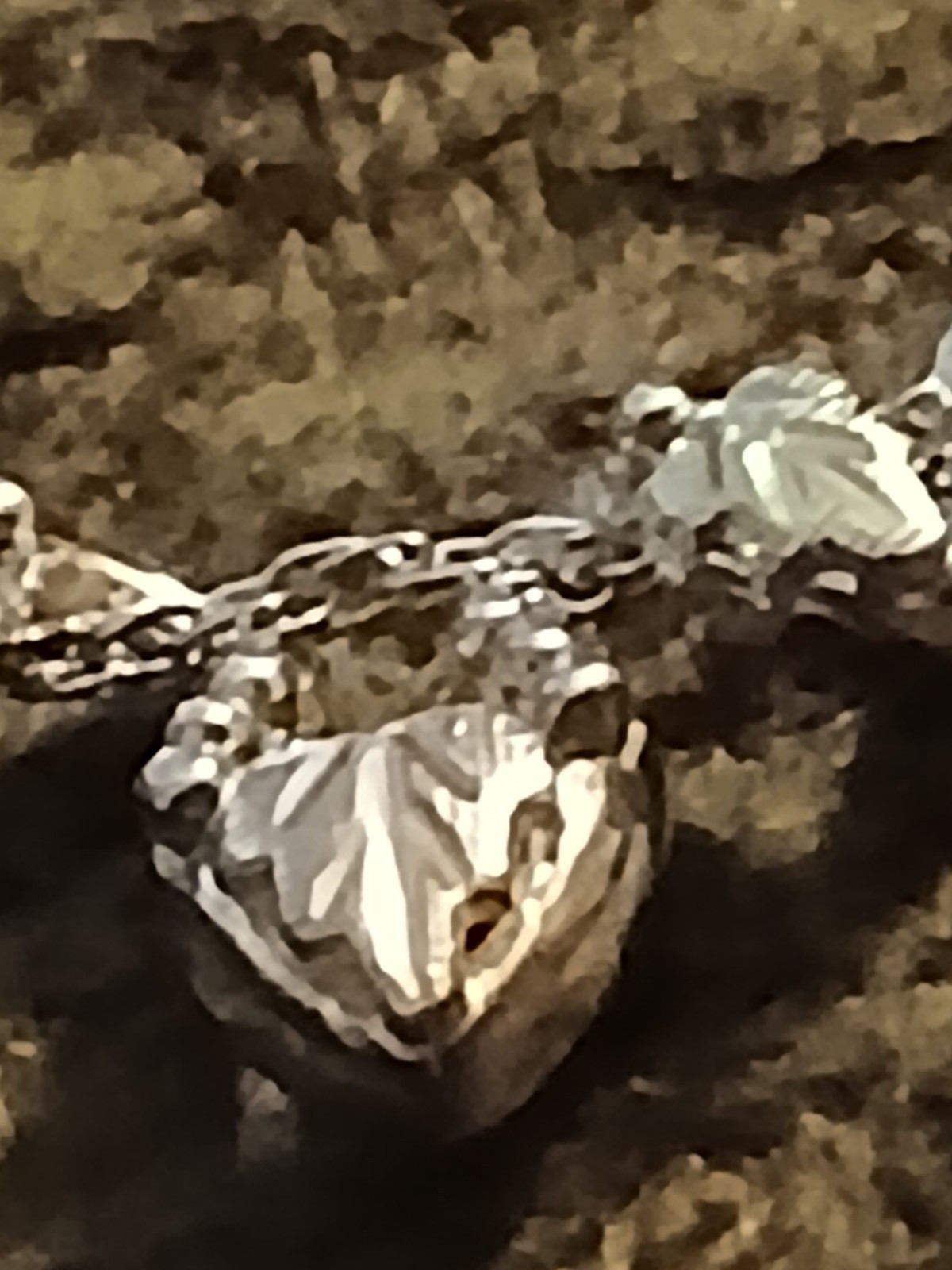 Bild 8 von 22