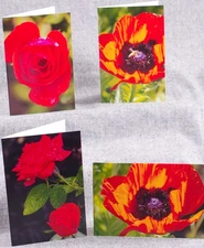 Red Poppies and Red Roses Summer Flowers Set of 4 Blank Photo Notecards