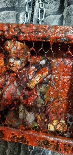 RITUAL HAUNTED VESSEL Dybbuk Inspired Caged Doll One-of-a-Kind Dark Occult Art - Picture 14 of 23