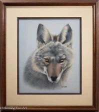 Beautiful Vintage Drawing of Grey Wolf Fine Wildlife Art Signed & Framed!