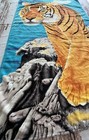 Foto 4 di 10