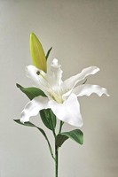 Artplants KüNstliche Tigerlilie Myzans, Creme-Weiß, 70Cm