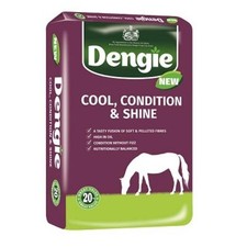 Dengie Cool Condition & Shine 20kg - HORSE & PONY FOOD 1.48 per kilo