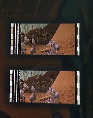 Disney Pixar Treasures 2004 A Bug's Life reel piece DPT-173 Princess Atta