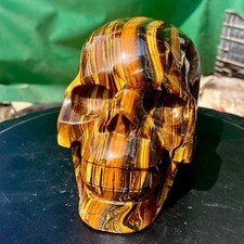 5.7LB Natural Tiger Eye Crystal Skull Hand Carved Healing Stone CollectibleDecor