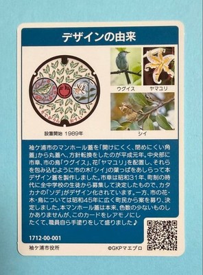 001 Manhole Card Sodegaura City, Chiba Prefecture | eBay
