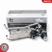 Esen Skv Agr Ventil 14SKV096 FüR Seat Skoda Ibiza 6J5 Roomster St 12V Vw Polo 5