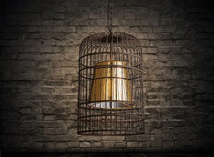 Retro Industrial Antique Rust Pendant Bird Cage Hanging Ceiling