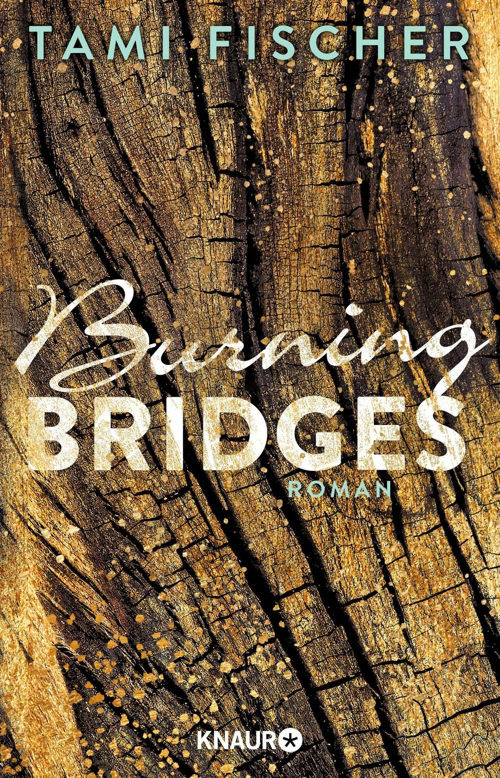 Thumbnail - Burning Bridges | Buch | 9783426524572