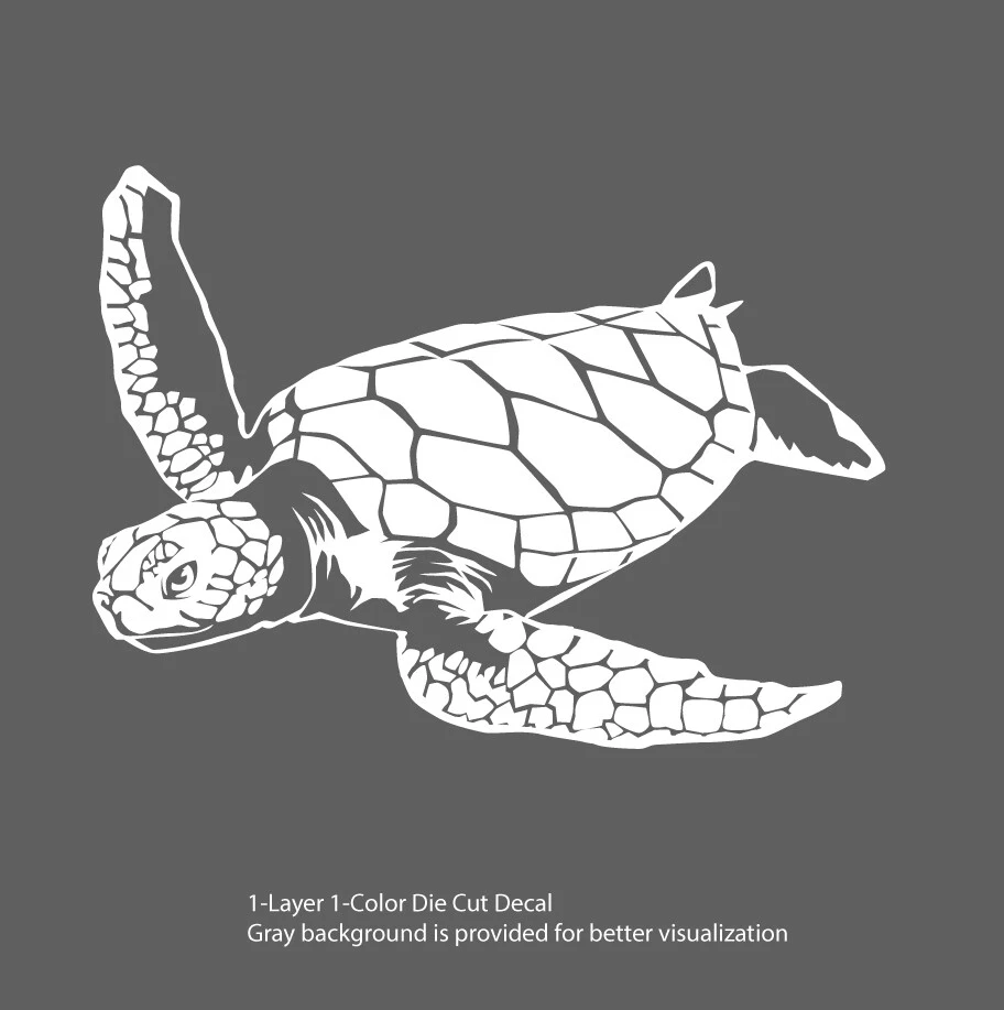 海洋生物 - 加拉帕戈斯海龟 1 户外窗户贴花乙烯基贴纸 6 年胶片 — 第 2/4 张图片