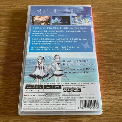 GINKA Nintendo Switch Front wing Japanese version | eBay