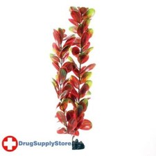 RA Red/Green Bacopa - 16"
