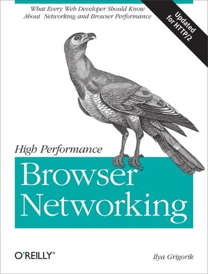 High Performance Browser Networking | Ilya Grigorik | Englisch | Taschenbuch