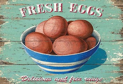 Holzschild 20x30 cm fresh eggs Frische Eier Deko Geschenk Holz Schild