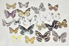 Pottery Barn Teen 3D Butterflies Wall Decor Stick On Set of 20 USED