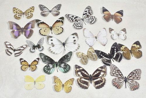Pottery Barn Teen 3D Butterflies Wall Decor Stick On Set of 20 USED