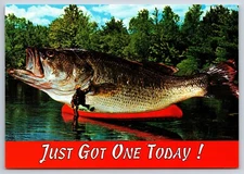 Fishing Comic Postcard Oversized Fish on Fisherman Canoe Lake Humor