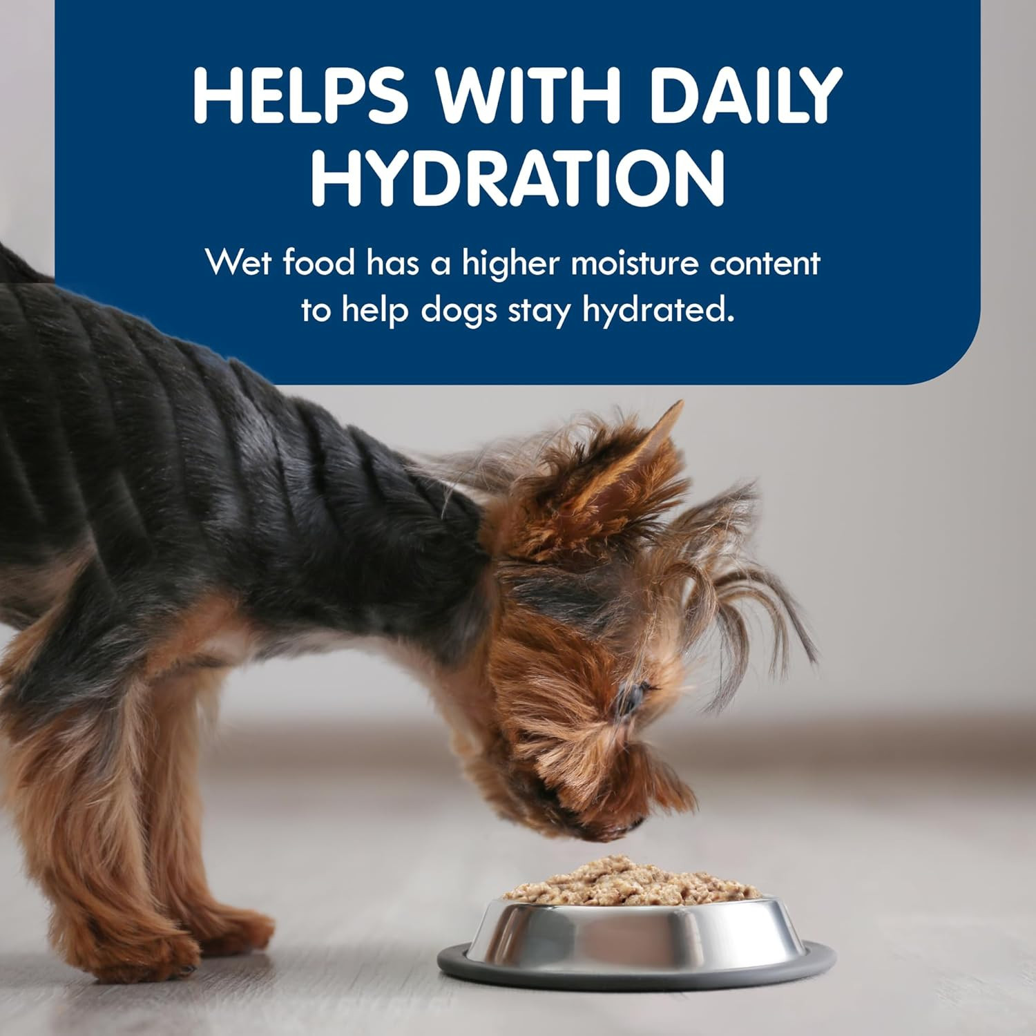 Blue Buffalo Delights Natural Adult Small Breed Wet Dog Food Cups, in Gravy, Chi